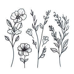 hand drawn ornamental flowers and wildflowers