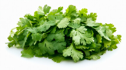 Fototapeta premium A bunch of fresh cilantro with its delicate, curly leaves, isolated on a white background