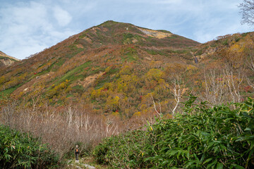 美しい高原の秋　栂池高原