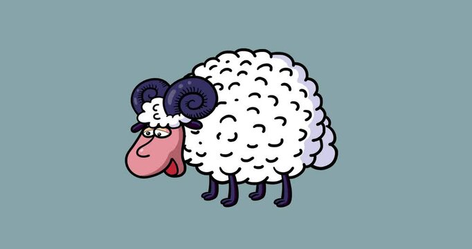 White ram bleat baa animation isolated. Cartoon animated seamless transitions with outline single animal character moves serie. Funny pet animation useful for any project.