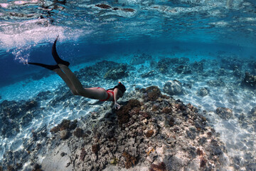 A young woman in mask with snorkel and fins dives underwater closer to coral reef to examine the fishes. Snorkeling and freediving on vacation in the ocean. Entertainment in the water during vacation.