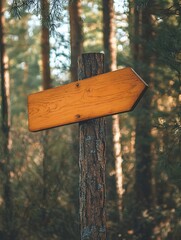 Nature signpost with information in the woods mockup
