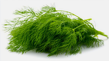 Fototapeta premium A sprig of fresh dill with its feathery, delicate green leaves, isolated on a white background