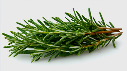 Fototapeta premium A sprig of fresh savory herb with its small, pointed green leaves, isolated on a white background