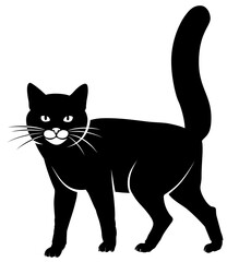 Black cat with big tail standing and looking at us