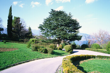 Walking path in the park.