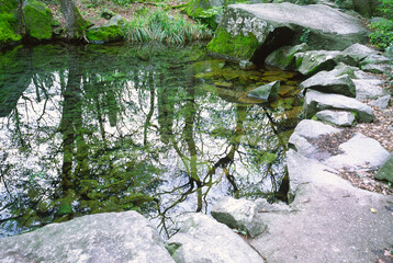Decorative pond with clean water in the recreation park.
