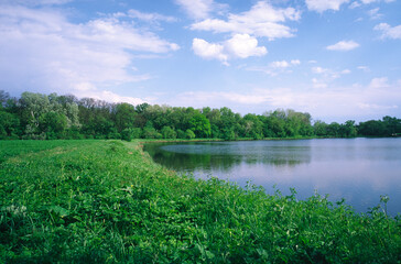 Ponds and forest in a park recreation area.