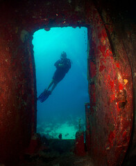 a woman diving inside a sunken plane off the coast of the island of Aruba