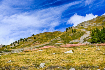 Livigno, Forcola di Livigno, Passo Forcola, Passstrasse,  Bergpass, Alpen, Monte Vago, Alpe Vago, Val di Livigno, Dorf, Wanderweg,  Fluss, Sp&ouml;l, Berninagruppe, Herbst, Herbstfarben, Zoll, Italien
