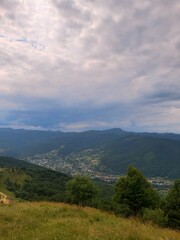 Fototapeta premium landscape in the summer