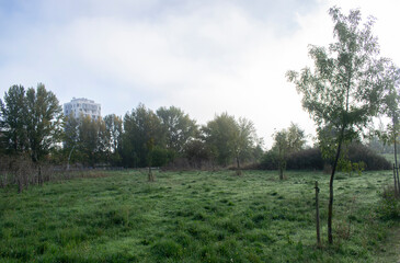 Obraz premium Paisajes de bosque otoñal y campo con niebla