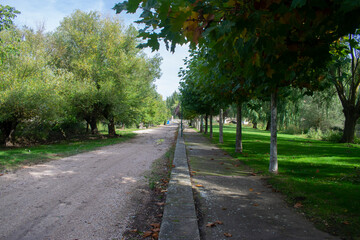 Parque y jardines verdes en un día soleado situado en Pampliega (Burgos), España