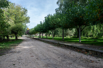 Parque y jardines verdes en un día soleado situado en Pampliega (Burgos), España