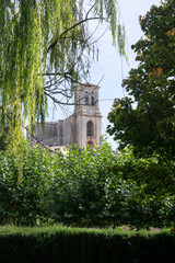 Paisaje oto&ntilde;al con arboles y hierva y vista de la Iglesia de Pampliega, Burgos (Espa&ntilde;a) vista entre &aacute;rboles