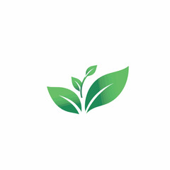 Green leaf logo template. Premium symbol Vector illustration. Minimal design template for business identity