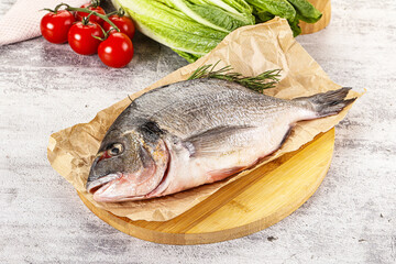 Raw dorada fish served rosemary