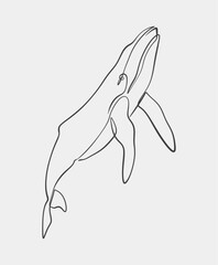 Simple line art illustration of a humpback whale, featuring clean, minimalist design with smooth lines on a white background.