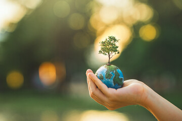 World environment day, Hands of woman holding globe with tree for ESG on green tree light bokeh background, co2, and net zero, ecology concept, earth day, Better Environment, copy space.