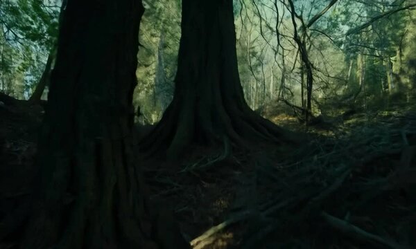 Tilt shot with unsettling atmosphere: The camera starts in a dark, ancient forest with an unsettling atmosphere and flickering lights. The camera tilts up to reveal the demon&rsquo;s shadowy form hiding amo