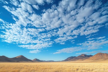 Naklejka premium Golden grass field with scattered clouds and distant mountains under a bright blue sky