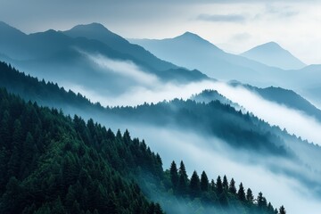 Obraz premium Misty mountain forest with layers of fog between tree-covered ridges