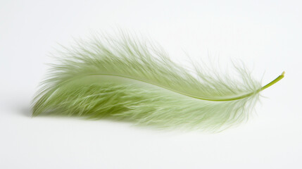  A green feather lies on a white background, its texture appears soft and fluffy with delicate fibers