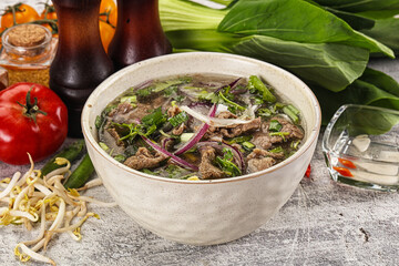 Vietnamese cuisine - Pho Bo soup with beef
