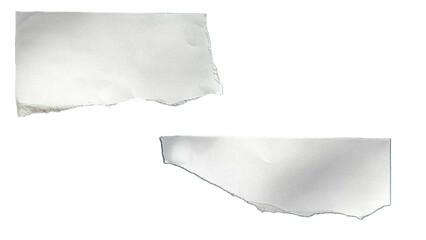 Paper scraps ripped page piece. Piece of white paper tear isolated on white background. Torn note paper page. Ripped note notebook grainy paper strips stuck.