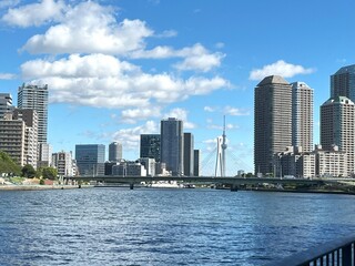 Obraz premium city skyline with skyscrapers
