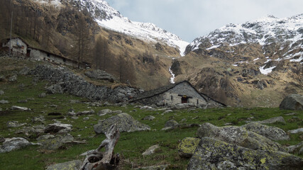 landscape in ossola valley during spring