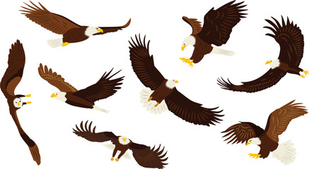 set of flying eagles, flat style collection, vector