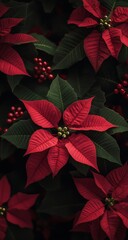 Vibrant red poinsettia flowers adorned with droplets in a lush garden setting