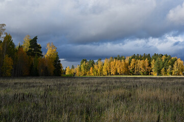 an autumn landscape under a dramatic sky