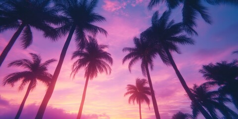 Obraz premium Vibrant Sunset over Palm Trees