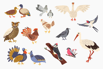 Animal drawing hand drawn set