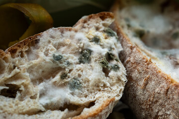 Spoiled, moldy, old slice of bread, macro close up shot, no people