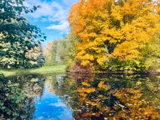 Autumn trees reflection on the water surface, pond in the park, beautiful autumn trees by the pond