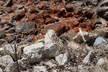 red, white, gray stones on a hillside