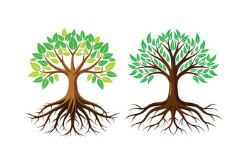 Tree Roots vector illustration, Tree Roots vector 