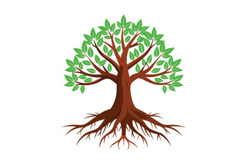 Tree Roots vector illustration, Tree Roots vector 