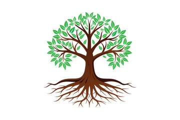 Fototapeta premium Tree Roots vector illustration, Tree Roots vector 