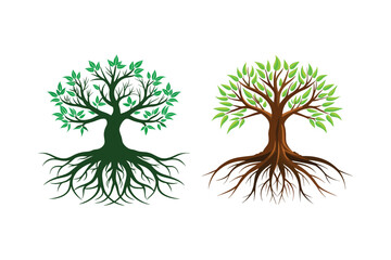 Obraz premium Tree Roots vector illustration, Tree Roots vector 
