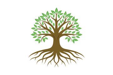 Tree Roots vector illustration, Tree Roots vector 