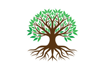 Tree Roots vector illustration, Tree Roots vector 