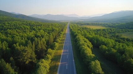 A road with trees on both sides. A car is driving down the road