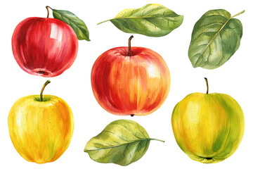 Watercolor apples, paper texture isolated on white background, watercolor painting of fruits and leaves set for design