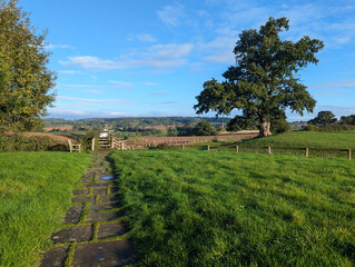 Naklejka premium An early morning view across the beautiful Herefordshire countryside in the Welsh Marches, England.