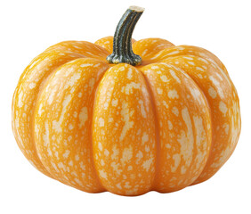 Ripe Orange Pumpkin with White Spots - Fall Harvest