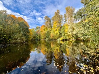 Fototapeta premium Autumn trees reflection on the water surface, pond in the park, beautiful autumn trees by the pond